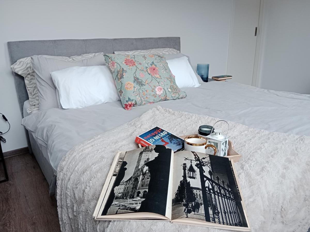 J&Z Apartman Olomouc Luaran gambar